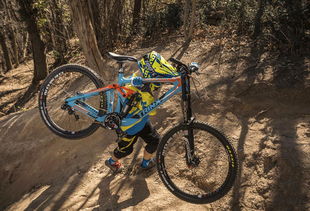 GBI全球自行車(chē)產(chǎn)業(yè)鏈信息網(wǎng)入駐廠商推介 第1期 共筑未來(lái)，共‘騎’新程